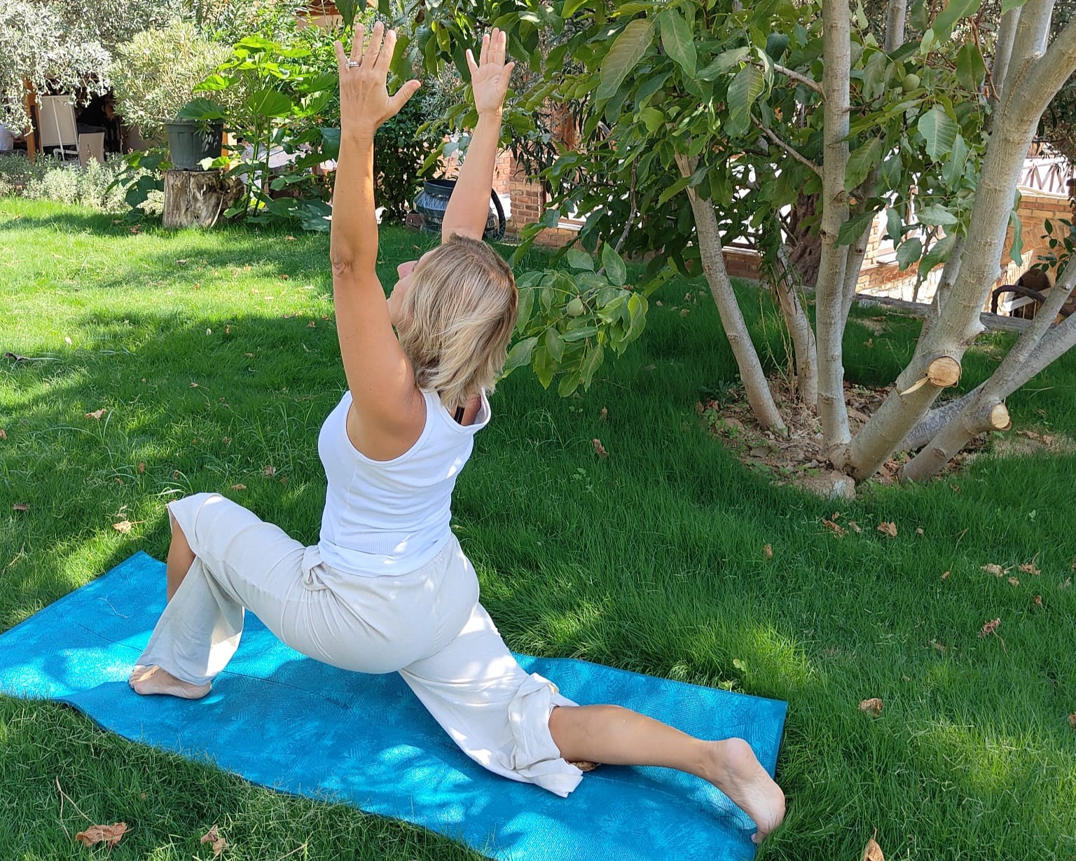 HBR_yoga_warrior_rectangle